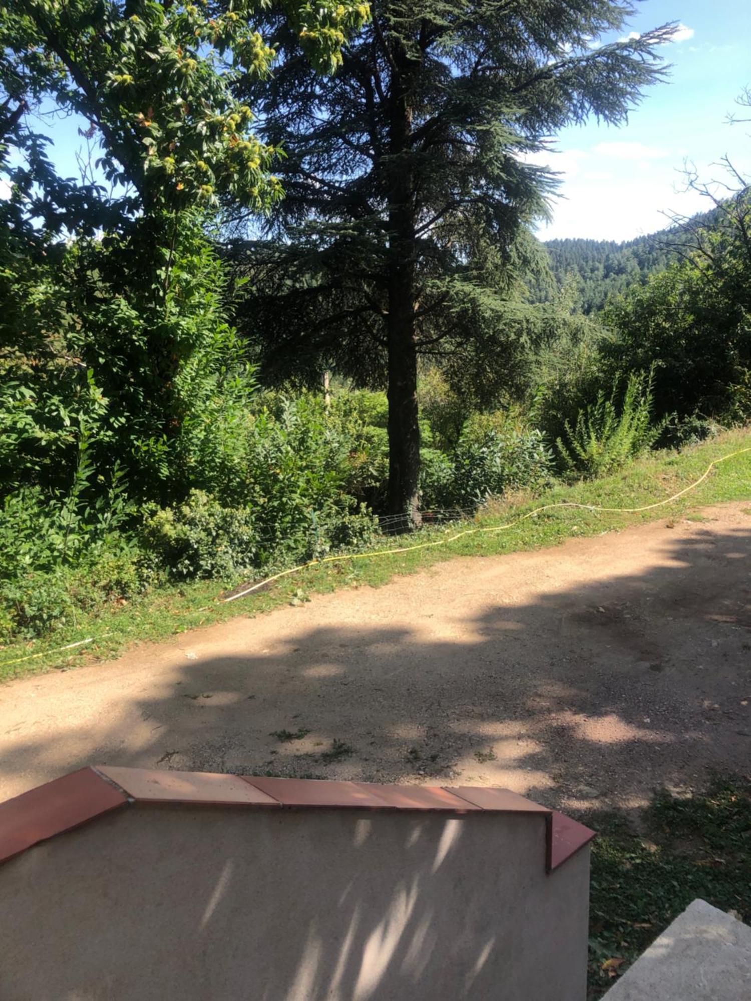 Chambre Dans Les Cevennes Concoules Exterior foto